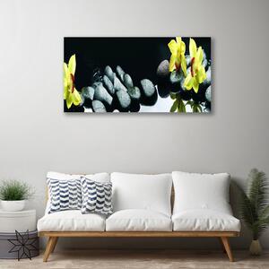 Obraz na plátne Kvet kamene 100x50 cm