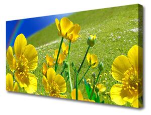 Obraz na plátne Lúka kvety dúha príroda 125x50cm