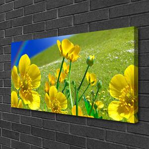 Obraz na plátne Lúka kvety dúha príroda 100x50 cm