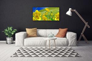 Obraz na plátne Lúka kvety dúha príroda 100x50 cm