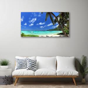 Obraz na plátne Palma strom more krajina 100x50 cm