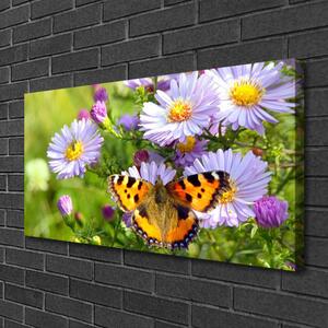 Obraz na plátne Kvety motýľ príroda 100x50 cm