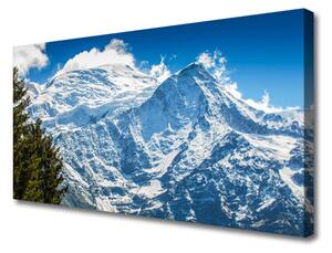 Obraz na plátne Hora strom príroda 100x50 cm