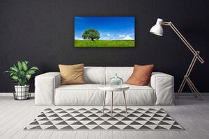 Obraz na plátne Tráva strom príroda 100x50 cm