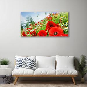Obraz na plátne Kvety príroda 100x50 cm