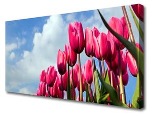 Obraz na plátne Tulipán 140x70 cm