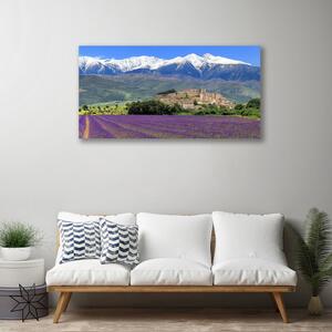 Obraz na plátne Lúka kvety hory príroda 100x50 cm