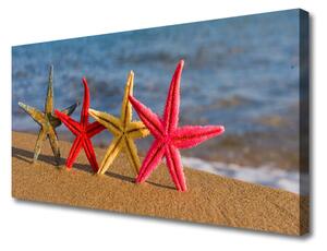 Obraz na plátne Pláž hviezdice umenie 100x50 cm