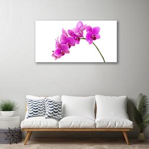 Obraz Canvas Vstavač kvet orchidea 100x50 cm