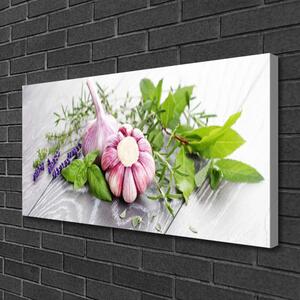 Obraz Canvas Cesnak byliny do kuchyne 100x50 cm