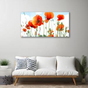 Obraz Canvas Kvety maky lúka pole príroda 100x50 cm
