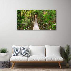 Obraz Canvas Most džungľa tropický les 100x50 cm