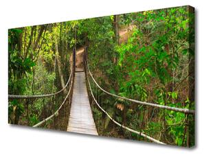 Obraz Canvas Most džungľa tropický les 100x50 cm