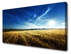 Obraz Canvas Pole obilie slnko krajina 125x50 cm