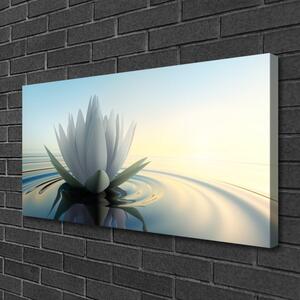 Obraz Canvas Vodné lilie rybník príroda 100x50 cm