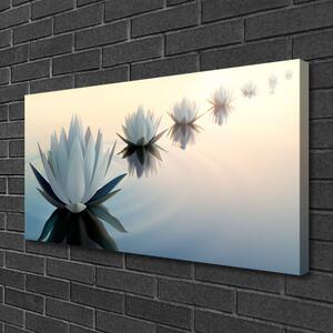 Obraz Canvas Vodné lilie biely lekno 100x50 cm