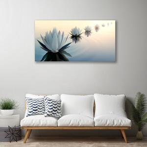 Obraz Canvas Vodné lilie biely lekno 100x50 cm
