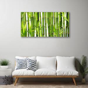 Obraz Canvas Bambusové výhonky listy bambus 100x50 cm