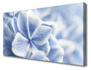 Obraz Canvas Kvety plátky príroda 100x50 cm