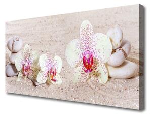 Obraz Canvas Orchidea kamene zen písek 100x50 cm