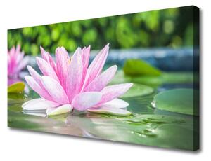 Obraz Canvas Vodné lilie rybník príroda 125x50 cm