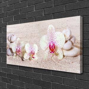 Obraz Canvas Orchidea kamene zen písek 100x50 cm