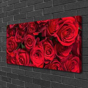 Obraz Canvas Červené ruže kvety príroda 100x50 cm
