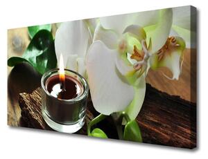 Obraz Canvas Orchidea sviece do kúpeľov 100x50 cm