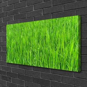 Obraz Canvas Zelená tráva príroda trávnik 100x50 cm