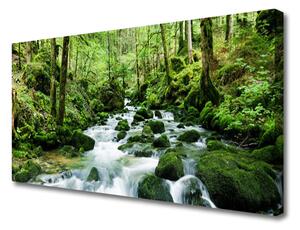 Obraz Canvas Les potok vodopády rieka 100x50 cm