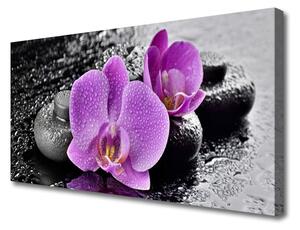 Obraz Canvas Orchidea kvety kamene zen 100x50 cm