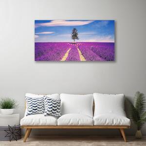 Obraz Canvas Pole levanduľa lúka strom 100x50 cm