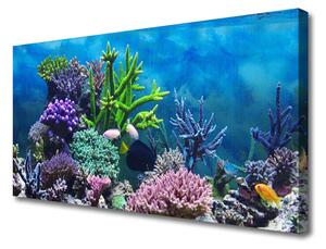 Obraz Canvas Akvárium rybičky pod vodou 125x50 cm
