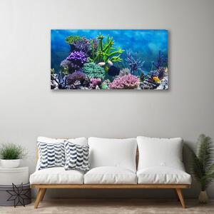 Obraz Canvas Akvárium rybičky pod vodou 100x50 cm