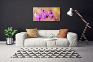 Obraz Canvas Orchidea výhonky kvety príroda 100x50 cm