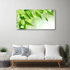 Obraz Canvas Zelené listy príroda 100x50 cm