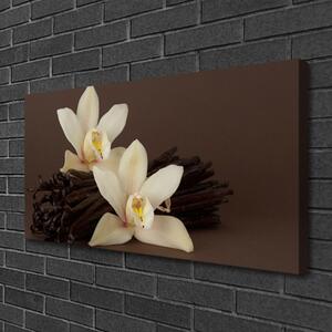 Obraz Canvas Kvety vanilky do kuchyne 100x50 cm