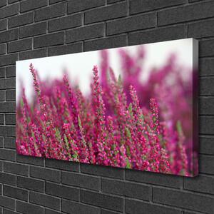 Obraz Canvas Kvety lúka príroda 100x50 cm