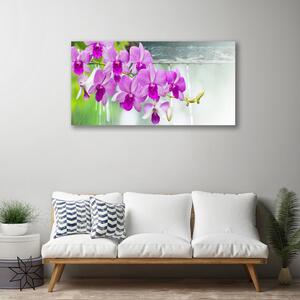 Obraz Canvas Orchidey kvapky príroda 100x50 cm