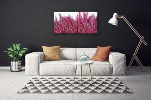 Obraz Canvas Kvety lúka príroda 100x50 cm