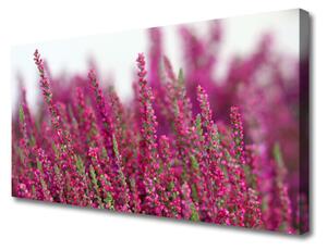 Obraz Canvas Kvety lúka príroda 125x50 cm