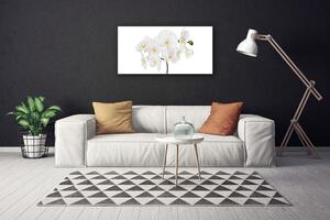 Obraz Canvas Biela orchidea kvety 100x50 cm