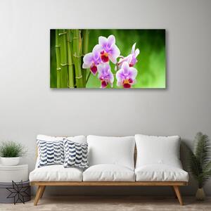 Obraz Canvas Bambus orchidea kvety zen 100x50 cm