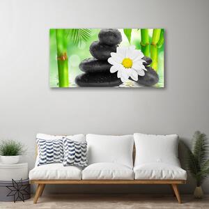 Obraz Canvas Bambus kamene zen kvet 100x50 cm