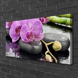 Obraz Canvas Kamene zen orchidea kúpele 100x50 cm