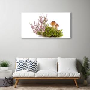 Obraz Canvas Huby rastlina príroda 100x50 cm