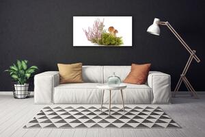 Obraz Canvas Huby rastlina príroda 100x50 cm