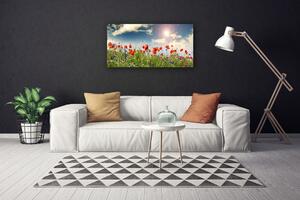 Obraz Canvas Lúka kvety slnko príroda 100x50 cm