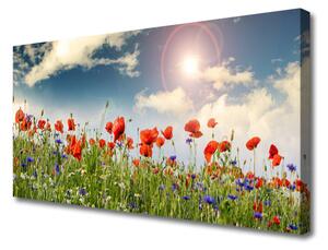 Obraz Canvas Lúka kvety slnko príroda 100x50 cm