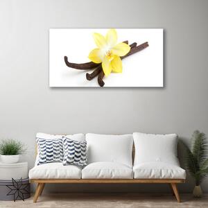 Obraz Canvas Vanilka rastlina príroda 100x50 cm